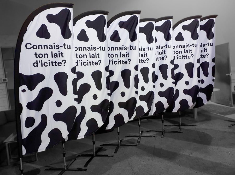 Producteur de lait