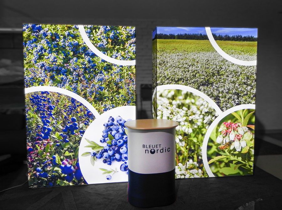 Bleuet Nordic
