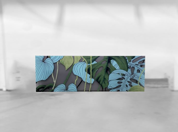 Mur d&rsquo;intimité