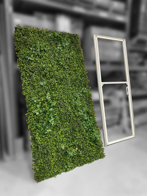 Mur végétal